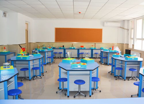 打造莲湖教育铁军，为人民群众提供优质教育咨询服务